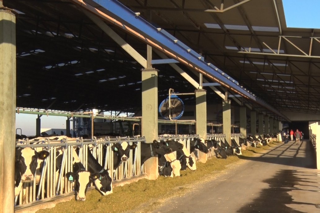 EE. UU. está anticipando una pequeña caída en la producción