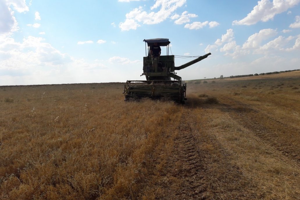 Nadie sabe a ciencia cierta de dónde saldrá la plata que el agro no aportará.