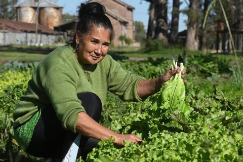 Rige suba escalonada del 55% en los salarios de los trabajadores rurales