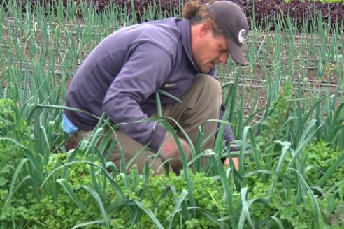 Visita a Huerta La Mirta:  Los crespenses se comen todo lo que producen los Senger