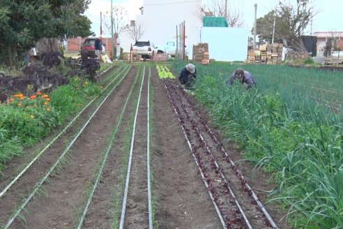 Visita a Huerta La Mirta:  Los crespenses se comen todo lo que producen los Senger