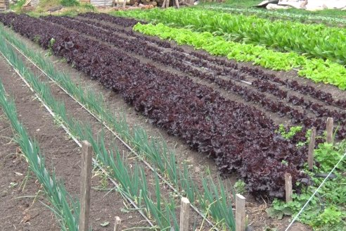 Visita a Huerta La Mirta:  Los crespenses se comen todo lo que producen los Senger