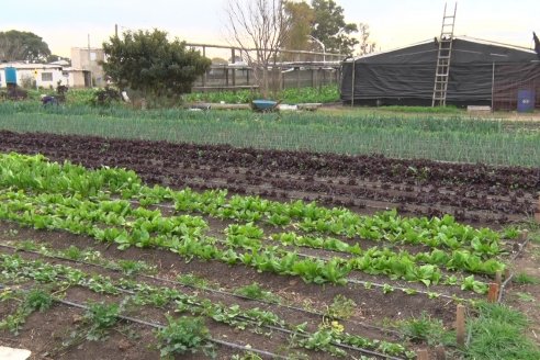 Visita a Huerta La Mirta:  Los crespenses se comen todo lo que producen los Senger
