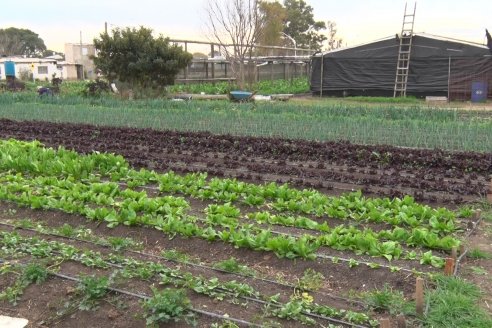 Visita a Huerta La Mirta:  Los crespenses se comen todo lo que producen los Senger