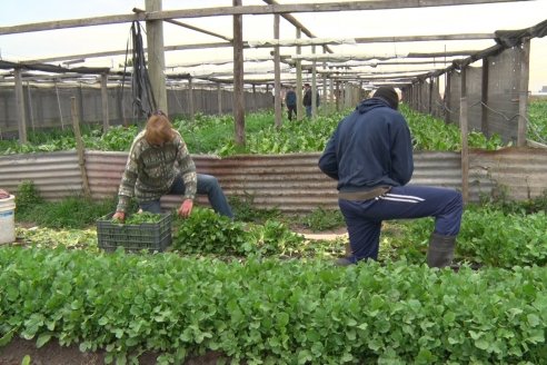 Visita a Huerta La Mirta:  Los crespenses se comen todo lo que producen los Senger