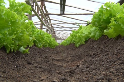 Visita a Huerta La Mirta:  Los crespenses se comen todo lo que producen los Senger