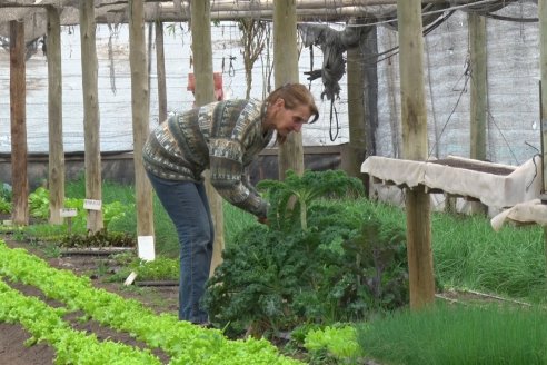 Visita a Huerta La Mirta:  Los crespenses se comen todo lo que producen los Senger