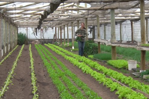 Visita a Huerta La Mirta:  Los crespenses se comen todo lo que producen los Senger