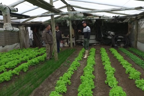 Visita a Huerta La Mirta:  Los crespenses se comen todo lo que producen los Senger