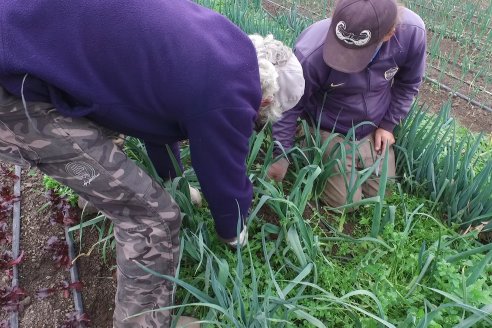 Visita a Huerta La Mirta:  Los crespenses se comen todo lo que producen los Senger