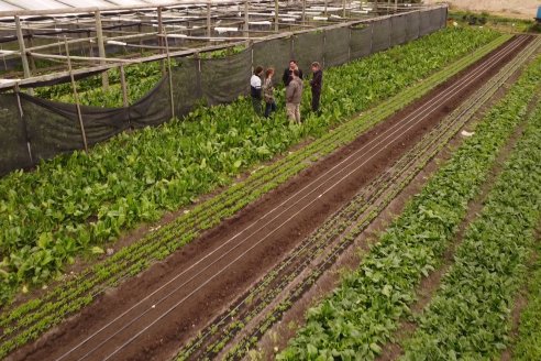 Visita a Huerta La Mirta:  Los crespenses se comen todo lo que producen los Senger