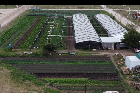 Visita a Huerta La Mirta:  Los crespenses se comen todo lo que producen los Senger