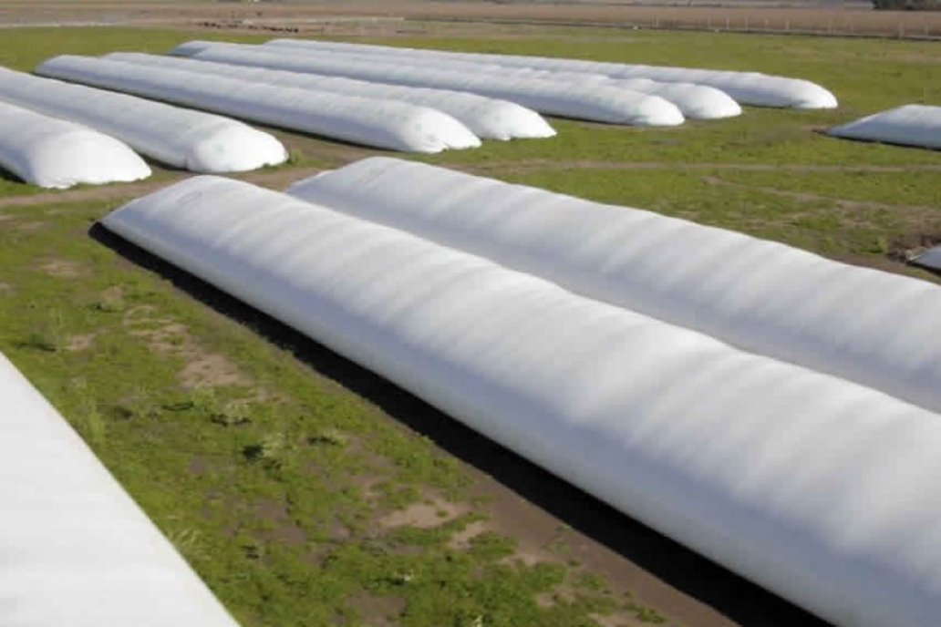 Los agricultores podrían cubrirse ante la posible devaluación del tipo de cambio