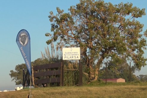 2° Jura Fenotípica de la 7ma. Prueba Pastoril Angus del Litoral - Establecimiento Pilar - Ramirez, Entre Ríos