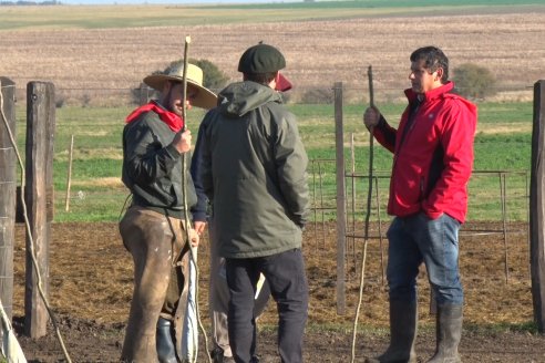 2° Jura Fenotípica de la 7ma. Prueba Pastoril Angus del Litoral - Establecimiento Pilar - Ramirez, Entre Ríos