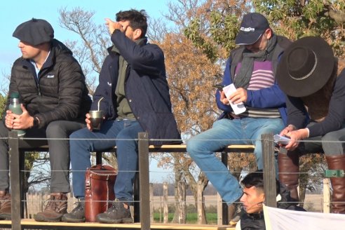 2° Jura Fenotípica de la 7ma. Prueba Pastoril Angus del Litoral - Establecimiento Pilar - Ramirez, Entre Ríos