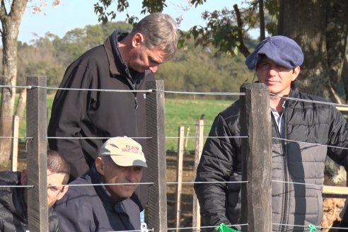 2° Jura Fenotípica de la 7ma. Prueba Pastoril Angus del Litoral - Establecimiento Pilar - Ramirez, Entre Ríos