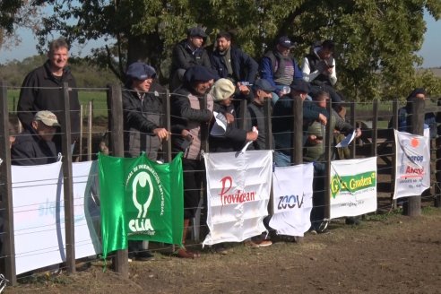2° Jura Fenotípica de la 7ma. Prueba Pastoril Angus del Litoral - Establecimiento Pilar - Ramirez, Entre Ríos