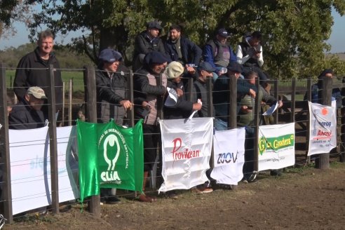 2° Jura Fenotípica de la 7ma. Prueba Pastoril Angus del Litoral - Establecimiento Pilar - Ramirez, Entre Ríos