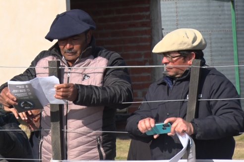 2° Jura Fenotípica de la 7ma. Prueba Pastoril Angus del Litoral - Establecimiento Pilar - Ramirez, Entre Ríos