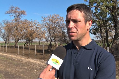 2° Jura Fenotípica de la 7ma. Prueba Pastoril Angus del Litoral - Establecimiento Pilar - Ramirez, Entre Ríos