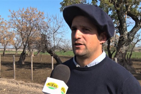 2° Jura Fenotípica de la 7ma. Prueba Pastoril Angus del Litoral - Establecimiento Pilar - Ramirez, Entre Ríos