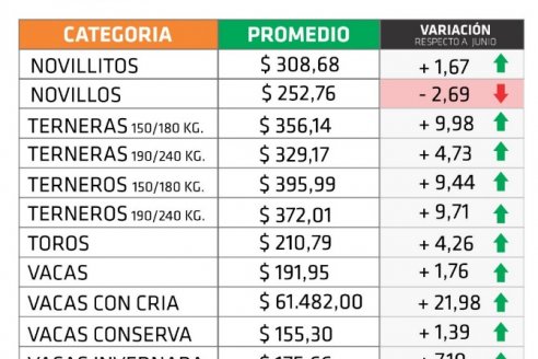 El valor de las vacas con cría aumentó el 21,98% en julio