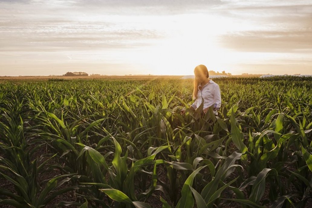 Los costos varían según la zona agroecológica y la tenencia de la tierra. Los costos varían según la zona agroecológica y la tenencia de la tierra.