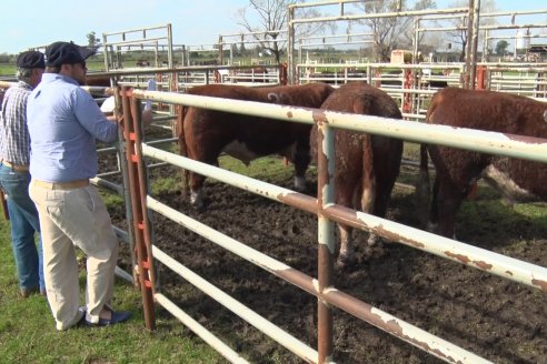 Dia de Campo:  Anticipo del 8° Remate Anual de Cabaña Tres Colonias