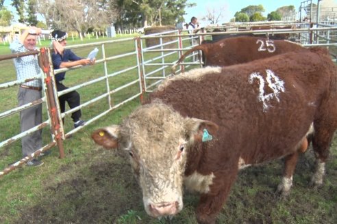 Dia de Campo:  Anticipo del 8° Remate Anual de Cabaña Tres Colonias