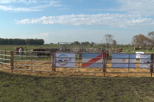 Dia de Campo:  Anticipo del 8° Remate Anual de Cabaña Tres Colonias