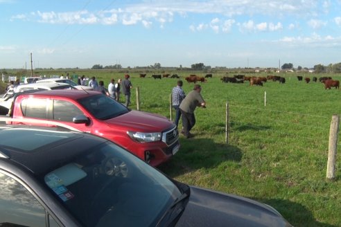 Dia de Campo:  Anticipo del 8° Remate Anual de Cabaña Tres Colonias