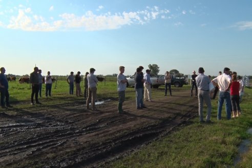 Dia de Campo:  Anticipo del 8° Remate Anual de Cabaña Tres Colonias