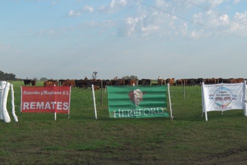 Dia de Campo:  Anticipo del 8° Remate Anual de Cabaña Tres Colonias