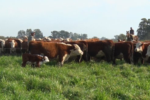 Dia de Campo:  Anticipo del 8° Remate Anual de Cabaña Tres Colonias