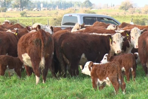 Dia de Campo:  Anticipo del 8° Remate Anual de Cabaña Tres Colonias