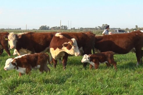 Dia de Campo:  Anticipo del 8° Remate Anual de Cabaña Tres Colonias