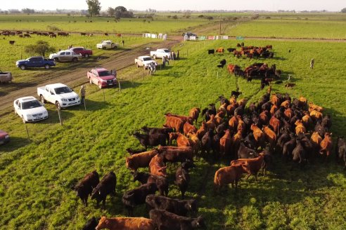 Dia de Campo:  Anticipo del 8° Remate Anual de Cabaña Tres Colonias