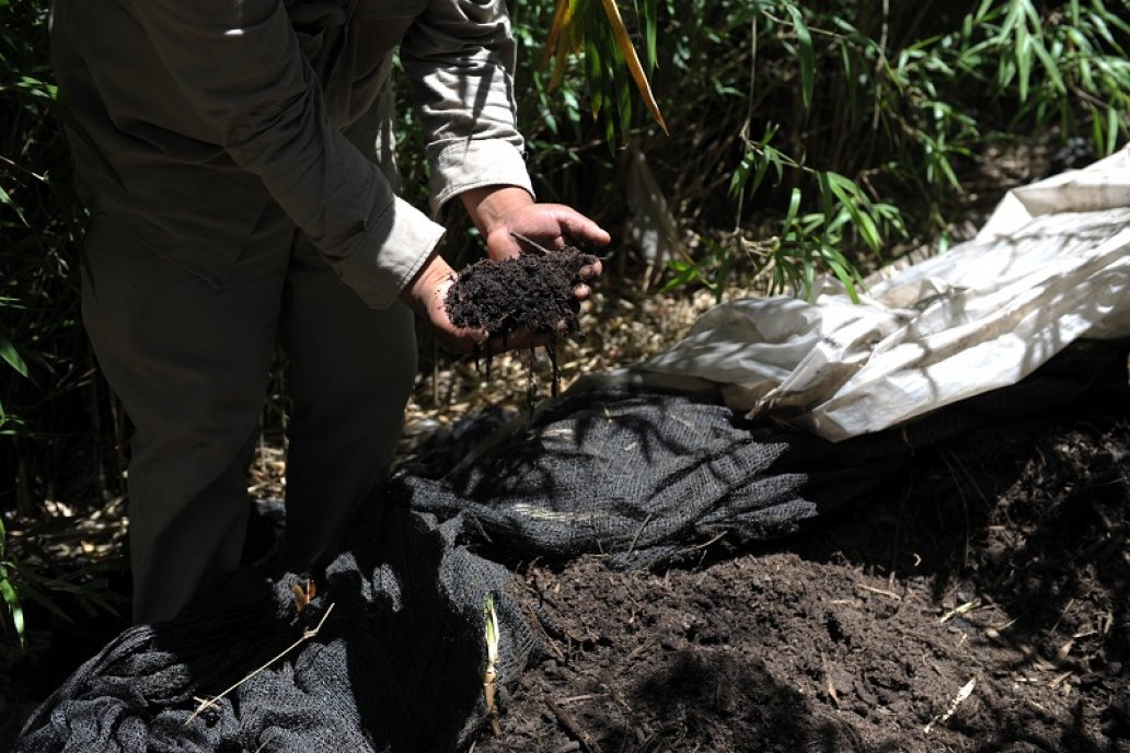 Analizan y validan biopreparados y bioinsumos para la agricultura extensiva.