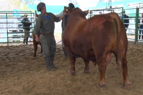 La fiesta de Angus en Villaguay