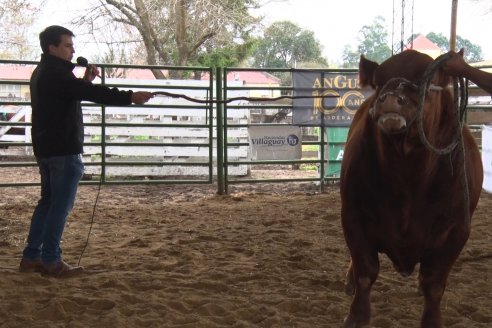 Expo Rural Villaguay 2022 - Concurso de Jurados Angus