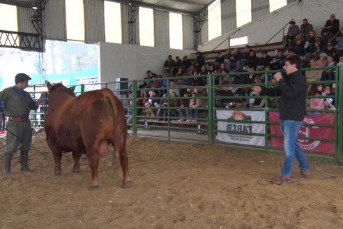 Expo Rural Villaguay 2022 - Concurso de Jurados Angus