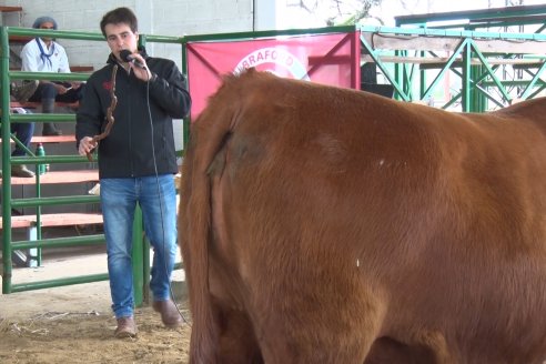 Expo Rural Villaguay 2022 - Concurso de Jurados Angus