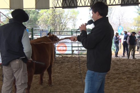 Expo Rural Villaguay 2022 - Concurso de Jurados Angus