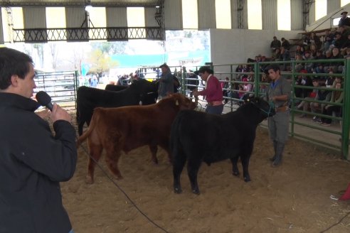 Expo Rural Villaguay 2022 - Concurso de Jurados Angus