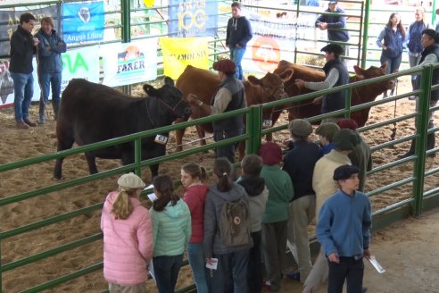 Expo Rural Villaguay 2022 - Concurso de Jurados Angus