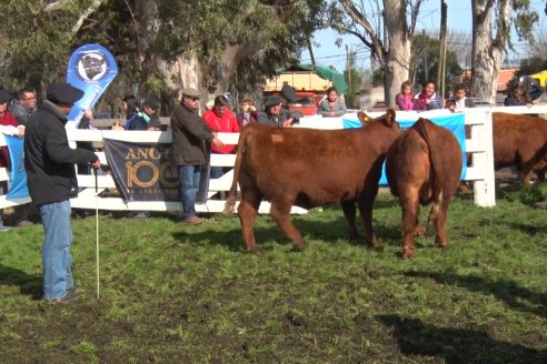 Expo Rural Villaguay 2022 - Jura Angus Puro Controlados