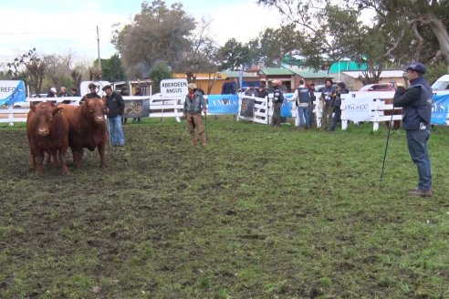 Expo Rural Villaguay 2022 - Jura Angus Puro Controlados