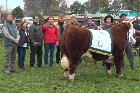 Jura Hereford - Expo Rural Villaguay 2022