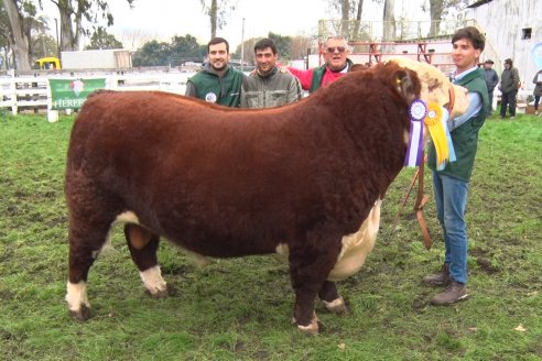 Jura Hereford - Expo Rural Villaguay 2022